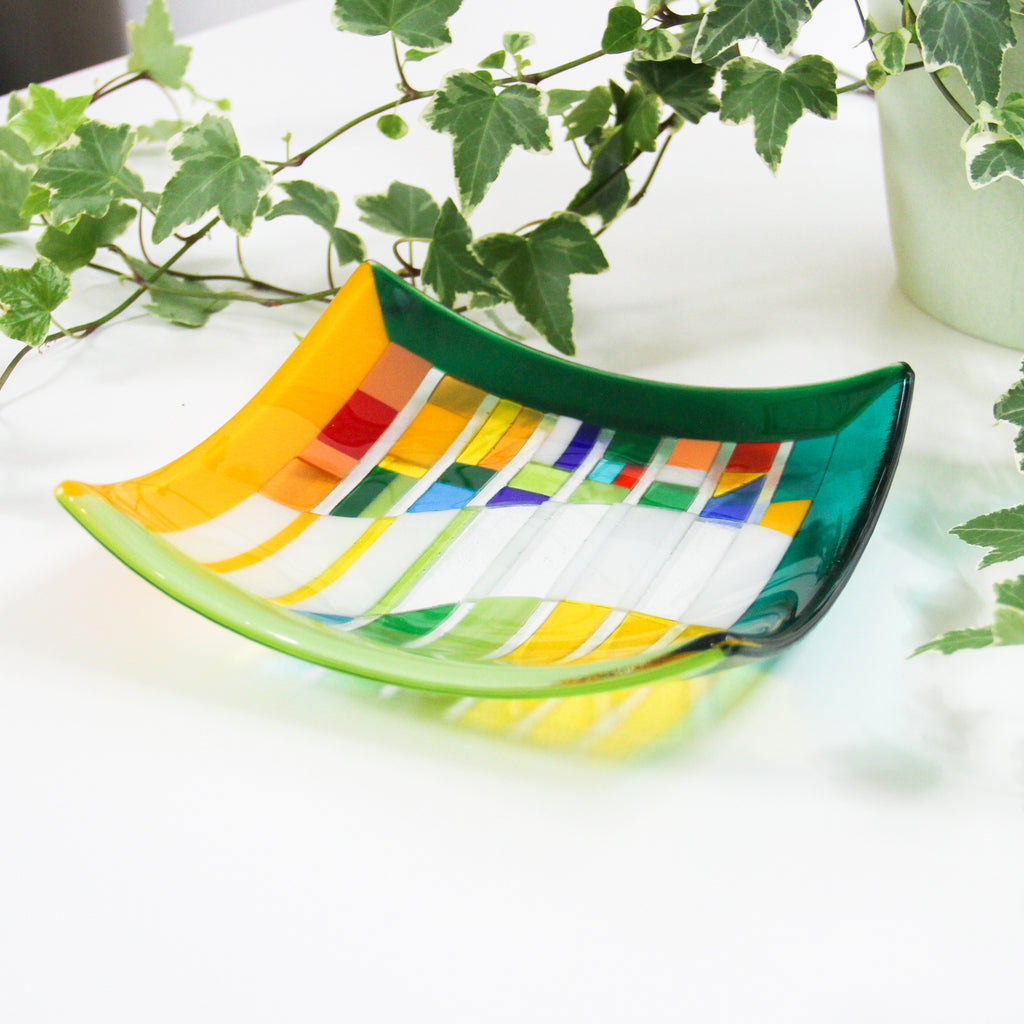 This fused glass bowl works well in a display with plants, as the stong geometry compliments the organic natural shapes