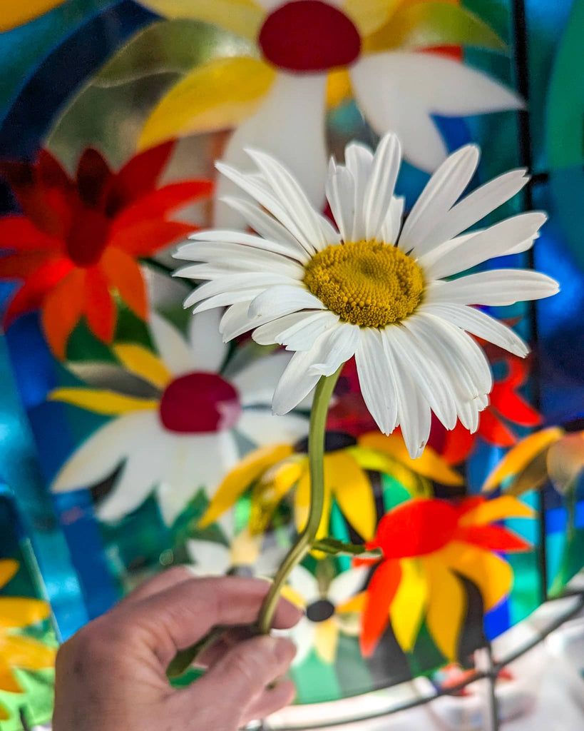 Hand holding a fresh daisy in front of a vibrant fused glass artwork featuring bold, colourful flowers by Glass Art by Linda